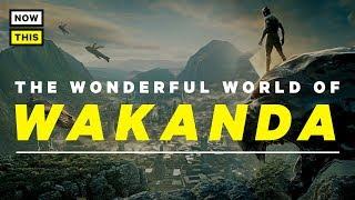 Black Panther Explained: The Wonderful World of Wakanda | NowThis Nerd