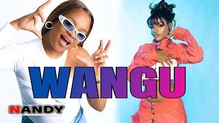 WANGU SONG [NANDY-The african princess]