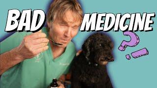 Stop Using This OTC Medicine for Dog Coughing: A new, Safe and Effective Natural Option