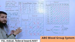 abo blood group system class 12