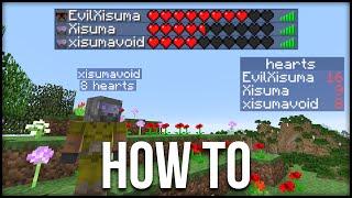 Minecraft: How To Display Hearts & Other Statistics Tutorial