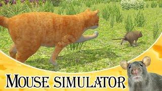 Mouse Simulator :D | Android / iOS Gameplay