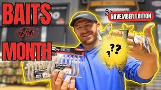 TOP BAITS of the MONTH November 2024 Edition