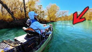 It’s Been a STRANGE Year for Bass Fishing BUT This Bait NEVER FAILS!