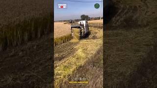 Amazing Mini Rice Harvesting Machine | Combine Paddy Harvester Machine