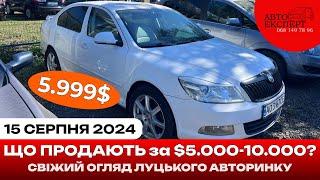 ЛУЦЬК АВТОРИНОК 15.08.2024️ОГЛЯД ЦІН ТА ВАРІАНТІВ️5000-10000 АВТОПІДБІР ️068-149-78-96