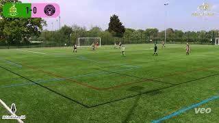 Harpenden Town Ladies v Hartham United Ladies