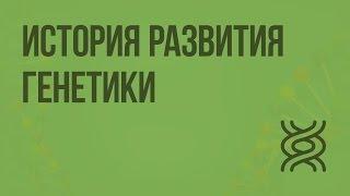 История развития генетики. Гибридологический метод. Видеоурок по биологии 10 класс