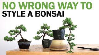 How to Style 3 Types of Bonsai for Beginners - No Wrong Way to do it.