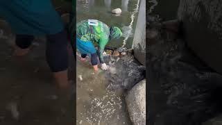 We Hit the RIVER FISHING JACKPOT! 