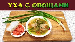 Вкусная уха без картошки. Новый рецепт для любителей ухи. Такую уху можно приготовить из любой рыбы.