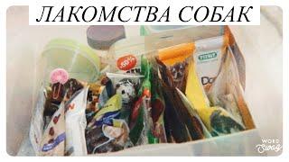 Вся коллекция лакомств и консерв моих собак / обзор 2019