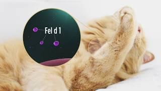 See How Purina Pro Plan LiveClear Allergen Reducing Cat Food Works