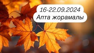 16-22.09.2024ж. Апта жорамалы