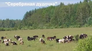 Сказкино Время - Выпуск #4. Серебряная Дудочка - Аудио сказка