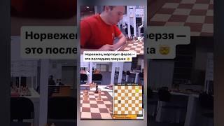 Последняя попытка сделать ничью  #chess