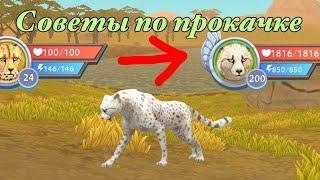 Советы по прокачке до 200 уровня в WildCraft | TED-MSM #wildcraft #вайлдкрафт #tedmsm