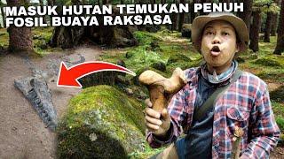 ASLI NYATA !! MASUK HUTAN TEMUKAN PENUH FOSIL BUAYA RAKSASA DI BEKAS PERKAMPUNGAN KUNO MAJAPAHIT ?!