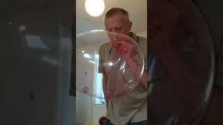 plastic balloon fun with daddy #shorts #funny #fun #playtime #bigballoon  @denisemariesjourney