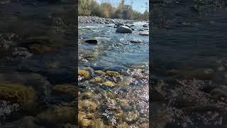 Clear mountain river #livecontent #subscribe #like #mountains #nature #river #relaxing