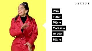 ROSALÍA Aute Cuture Letra Oficial Y Significado Verified