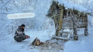 WINTER SURVIVAL in the Wilderness, Building a Cozy Bushcraft Shelter!