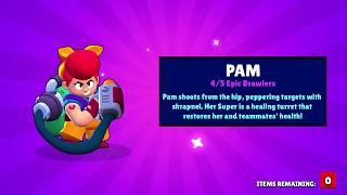 Another epic brawler : PAM