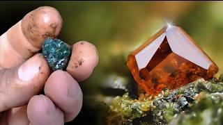 Signs That Your Yard Might Have Precious Stones