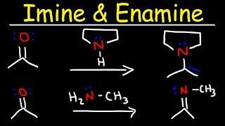 Imine and Enamine Formation Reactions With Reductive Amination