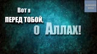 Нашид:"Вот я перед тобой, о Аллах!" - "Лаббайка"