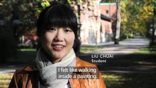 Study Abroad trailer