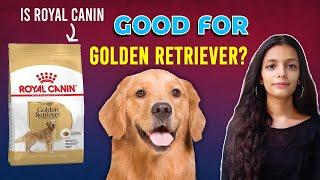 Royal Canin Golden Retriever (ADULT) Review