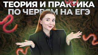 ВСЕ о червях на ЕГЭ по биологии. Теория и практика | Умскул