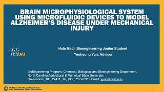 Brain Micro-physiological Systems Using Microfluidic Devices to model Alzheimer’s Disease