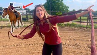 Day in the life of an Equestrian PARODY  | funny horse videos