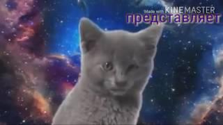 КоСМиЧеСКая пЕчЕнькА ПРЕДСТАВЛЯЕТ