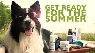 Show Tech Summer Bundle: A carefree summer and optimal hygiene for your dog.