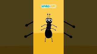 FORMIGA | Série Formas | @maboefifi  #desenhoinfantil