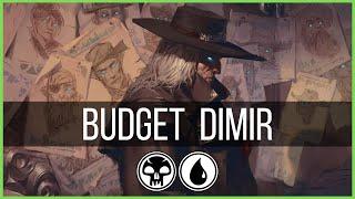 Budget Deck | Dimir Crime & Graveyard | Standard Deck for Beginners | MTG Arena