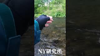北海道のWetfly Fishing