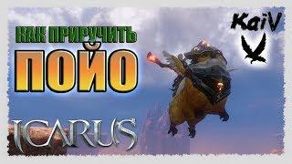 Icarus. Как приручить Пойо./Poyo Taming