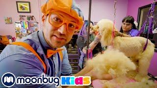 I Love Pets Song - Rescue Puppies | Blippi Songs | Animals For Kids | Moonbug Kids