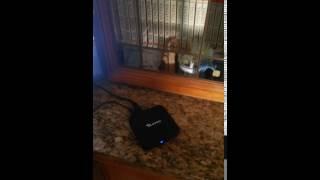 Upgrade firmware TV box android (TX3, TX3 pro, TX5, TX5 pro) fix problem app play store and youtube