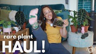 HAUL Rare Plant Market - aroids, begonias and a hoya | Plant with Roos