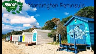 Mornington Peninsula Ultimate Day Tour