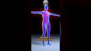 Learn about EECP Therapy