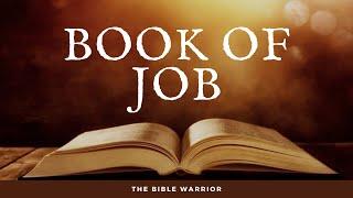 The Holy Bible - Book of Job | The Bible Warrior