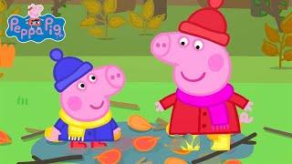 Peppa Pig Goes On An Autumn Walk  Peppa Pig Family Cartoons For Kids