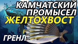 Камчатский промысел Желтохвост / РР3 [ Русская рыбалка 3.9 Гренландия]