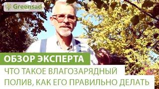 Что такое влагозарядный полив, как его правильно делать